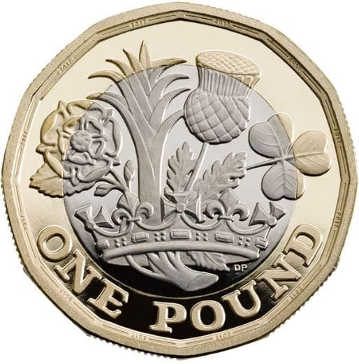 one pound coin